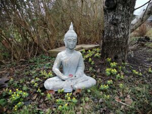 272784774_642763410264011_2307297177134060242_n